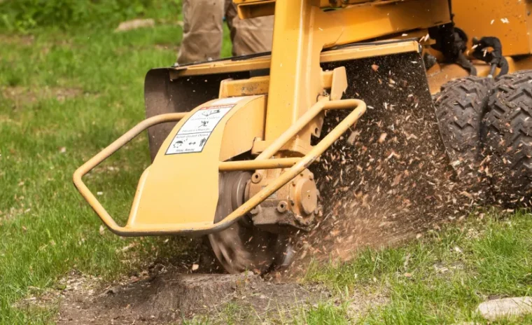 Stump Grinding