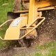 Stump Grinding
